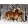 Image de Puzzle 239 pièces - Magie des chevaux : Cheval Haflinger III DToys-65933HH03