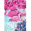 Image de Puzzle 1000 pièces : Andrea Kürti Tropical : Flamands roses Dtoys-72887TR02