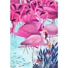 Image de Puzzle 1000 piÃ¨ces : Andrea KÃ¼rti Tropical : Flamands roses