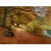 Image de Puzzle 1000 pièces : Hans Anderson Brendekilde : Chemin boisé d'automne Dtoys-72795BR02