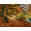 Image de Puzzle 1000 piÃ¨ces : Hans Anderson Brendekilde : Chemin boisÃ© d'automne