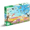 Image de Puzzle 1000 pièces : Merveilleux Oiseaux Dtoys-47579