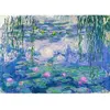 Image de Puzzle 1000 pièces : Claude Monet : Nymphéas Enjoy-1197