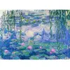 Image de Puzzle 1000 piÃ¨ces : Claude Monet : NymphÃ©as