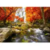 Image de Puzzle 1000 pièces : Cascade d'automne Enjoy-1245
