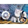 Image de Puzzle 1000 PiÃ¨ces : Capitaine Chaton