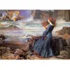 Image de Puzzle 1000 pièces : Miranda dans la tempête