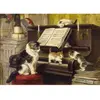 Image de Puzzle 1000 Pièces : La Leçon de Piano Enjoy-1551