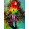 Image de Puzzle 1000 PiÃ¨ces : Perroquet colorÃ©