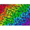 Image de Puzzle 1000 piÃ¨ces : Papillons arc-en-ciel