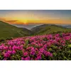 Image de Puzzle 1000 Pièces : Crépuscule Rose Enjoy-2063