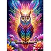 Image de Puzzle 1000 Pièces : Chouette Néon Enjoy-2161