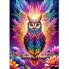 Image de Puzzle 1000 PiÃ¨ces : Chouette NÃ©on