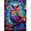 Image de Puzzle 1000 Pièces : Hibou éblouissant Enjoy-2224