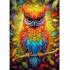 Image de Puzzle 1000 Pièces : Hibou automnal Enjoy-2225