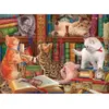 Image de Puzzle 1000 pièces : Les chatons de la bibliothèque par Image World