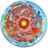 Image de Puzzle circulaire lumineux 36 pièces : centre de la Terre Hape-E1637