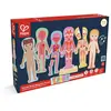Image de Puzzle aimenté - assemble le corps humain Hape-E1652