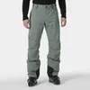 Image de Pantalon de ski Helly Hansen Legendary 65704-876 Gris S