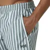 Image de Short Helly Hansen Newport Trunk 34296-485 Gris XL