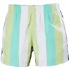 Image de Short de bain Helly Hansen Newport Trunk Multicolore S 34296-499