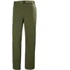 Image de Pantalon Helly Hansen Holmen Relaxed Vert 36x30 63468-431