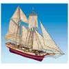 Image de Maquette bateau en bois : La Rose Mantua-S068749