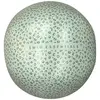 Image de Ballon De Plage - Léopard Vert SwimE-3415218