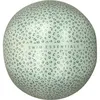 Image de Ballon gonflable Léopard vert (51 cm)