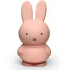 Image de Tirelire Miffy warm Poudre (19 cm)