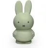 Image de Tirelire Miffy warm eucalyptus (19 cm)
