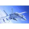 Image de Maquette avion : F/A-18 C/D Wild Weasel Italeri-016