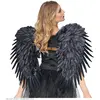 Image de Ailes à Plumes Noires - 80 x 65 cm - Adulte 1200