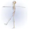 Image de Squelette posable - 40 cm 3233WID