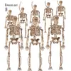 Image de Set de 8 squelettes avec ficelle - 15 cm 3589WID