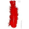 Image de Sachet De 50 Plumes Rouges 0499R