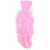 Image de Sachet De 50 Plumes Roses Pastel 0500S