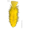Image de Sachet De 50 Plumes Jaunes 0503Y