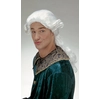 Image de Perruque Donatien B6133