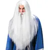 Image de Perruque Magicien Avec maxi Barbe et moustache - Homme M6137
