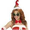 Image de Lunettes Sapin De Noël - Adulte 14391