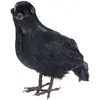 Image de CORBEAU EN PLUMES 3063C