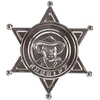 Image de Étoile De Sheriff 3301H