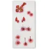 Image de Set de 6 TATOUAGES MORSURES DE VAMPIRE 40881