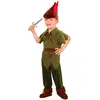 Image de Déguisement Lutin 43829
