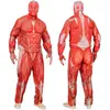 Image de Déguisement Anatomie - Adulte - L 46693WID
