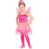 Image de Déguisement de la Fée Rose 48648
