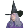 Image de Chapeau de Sorcière Avec Perruque 5155G