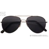 Image de Lunettes de Pilote 6861C