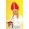 Image de Mitre En Velours 8521P